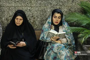 دبب