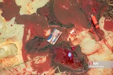 لزوم برخورد جدی دستگاه‌های قضایی و امنیتی با مسببان حادثه هولناک تروریستی حرم مطهر شاهچراغ