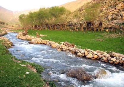 ۷۵ درصد آب کشاورزی چهارمحال و بختیاری وابسته به منابع زیرزمینی است