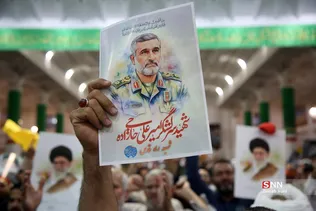 دبب
