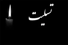 وزیر بهداشت درگذشت شهادت‌گونه نوجوان فداکار «علی لندی» تسلیت گفت