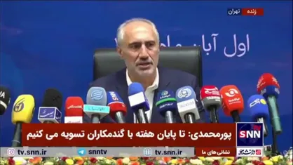 پورمحمدی: رشد مالیات سال اینده حدود ۳۹ درصد است
