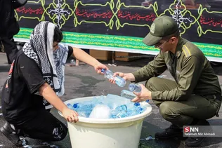 جاماندگان