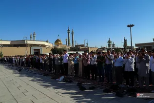 فطر
