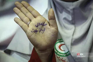 دبب