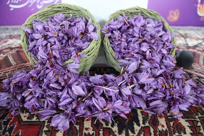 انبار&zwnj;های بورس کالا آماده اخذ زعفران از کشاورزان هستند