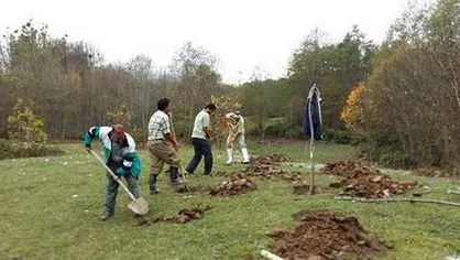 برگزاری جلسه طرح مردمی کاشت یک میلیارد درخت در منابع طبیعی