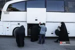 طبد