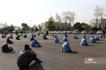 طرح اقتدار 