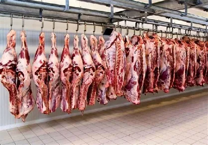 عرضه گوشت قرمز کاهش پیدا کرده/ دام زنده از کشور قاچاق می&zwnj;شود