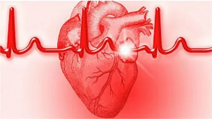 رژیم غذایی نامناسب و فعالیت بدنی کم مقدمه&zwnj;ای برای بروز بیماری&zwnj;های قلبی