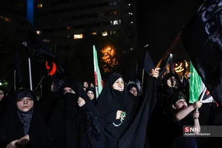 دبب