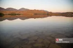hamidi