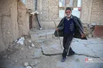 دبب