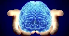 پذیرش دانشجویان در دو رشته جدید علوم شناختی آغاز می‌شود