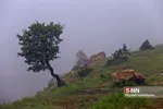 مه 