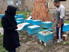 شکرانه بهره‌برداری از ۵۰ هزار طرح اشتغال برکت در مناطق محروم