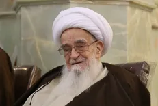 آیت‌الله صافی گلپایگانی درگذشت/ فرازی از زندگی‌نامه شیخ المراجع