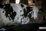 546456546