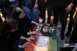 دبب