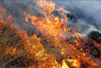 موج سواری رسانه&zwnj;های معاند روی آتش الیت / دهیار روستای الیت بازداشت نشده است