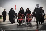 یبلب