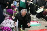 رضوی