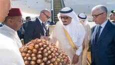 تعطیلات یکماهه ملک سلمان در مراکش آغاز شد