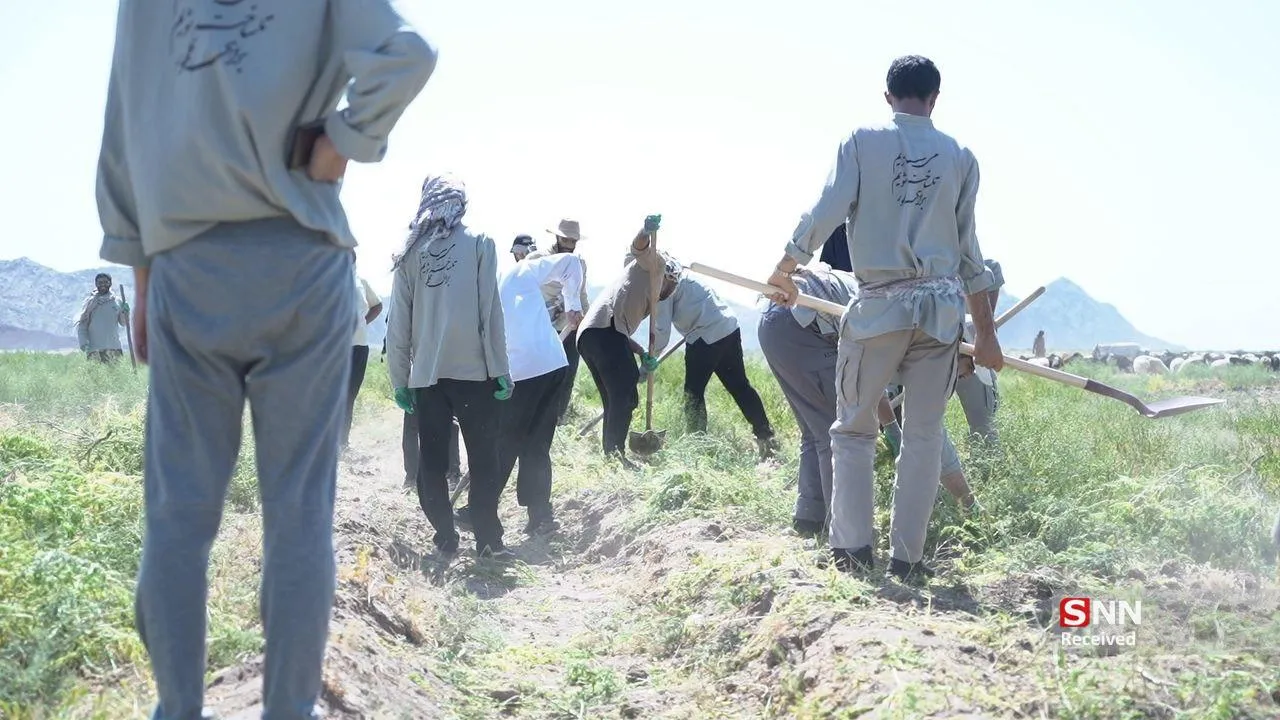 هجرت عشق