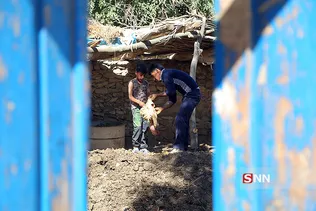 جرگلان