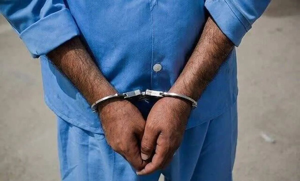 پایان سرقت‌های اماکن خصوصی در مجیدیه؛ ۲ سارق حرفه‌ای با ۷۰۰ میلیون تومان اموال سرقتی دستگیر شدند