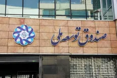 رئیس جدید هیات عامل صندوق توسعه ملی منصوب شد