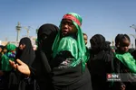 همایش شیرخوارگان حسینی در مشهد مقدس