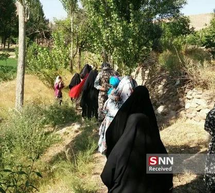 از اردوی جهادی متولد شدم