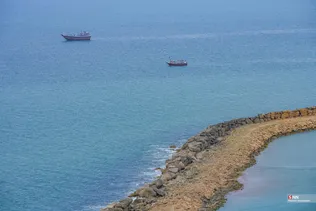 بریس