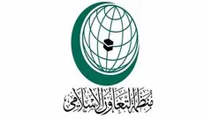 اسرائیل مسئول شهادت «فارس بارود» است
