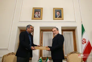 دیدار وزیر کشور پاکستان با وزیر امورخارجه جمهوری اسلامی ایران