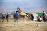 مسابقات سوارکاری 