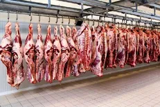 آبنار: محدودیتی برای واردات گوشت قرمز وجود ندارد
