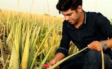 امکانات دستگاه‌های اجرایی در اختیار دانشجویان رشته کشاورزی قرار می‌گیرد