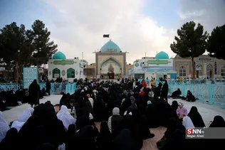 دبب