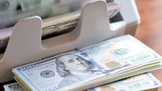 سونامی دلار و چسبندگی قیمت/ رشد ۱۱۰۰ درصدی هزینه ساخت مسکن