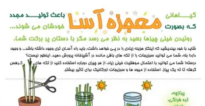 اینفوگرافیک/ گیاهان معجزه&zwnj;آسا