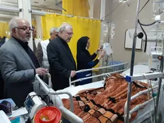 وزیر بهداشت تعداد مصدمان حادثه کرمان را ۲۰۰ نفر اعلام کرد