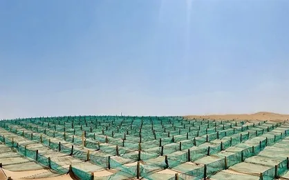تثبیت ماسه&zwnj;های روان با استفاده از ۱۱ روش خارجی و بومی