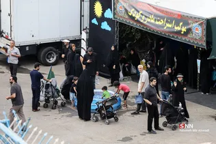 جاماندگان