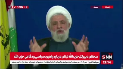 شیخ نعیم قاسم: خلع سلاح حزب الله یعنی تضعیف لبنان