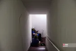 دبب