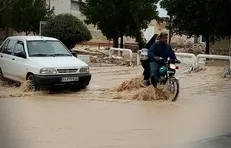 آبگرفتگی برخی معابر بوشهر / گروه‌های جهادی مشغول برآورد خسارات هستند
