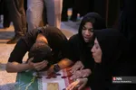 دبب
